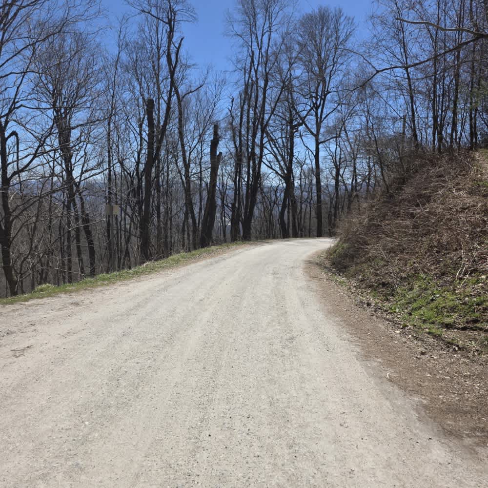 Cove Creek Road