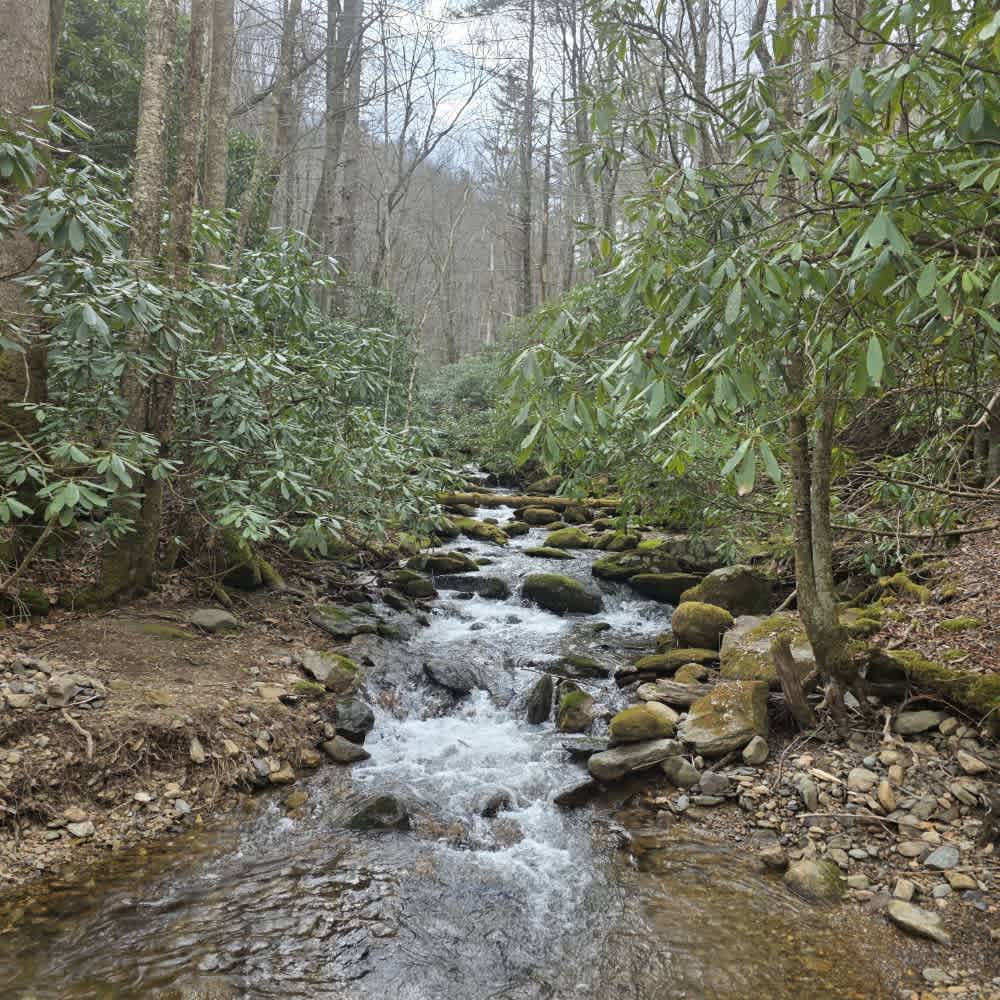 Big Creek