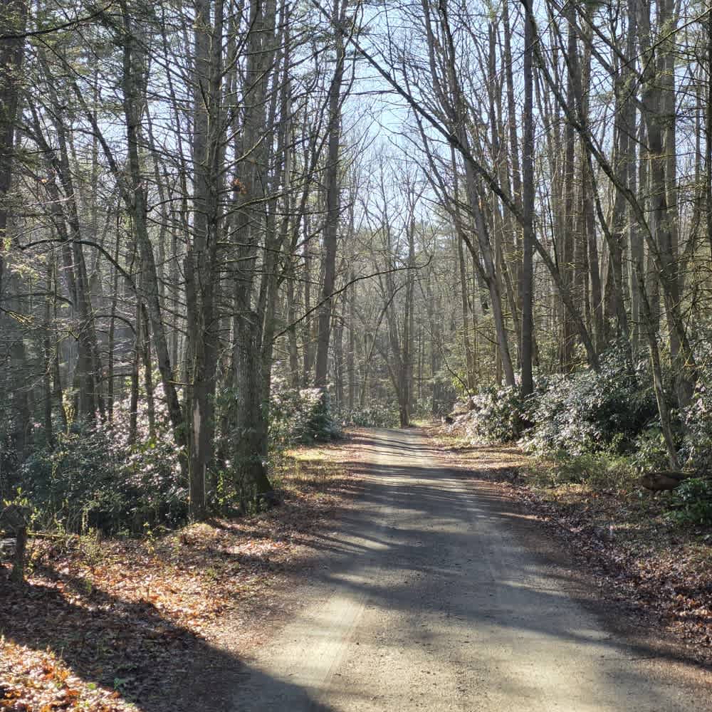 Gentry Creek
