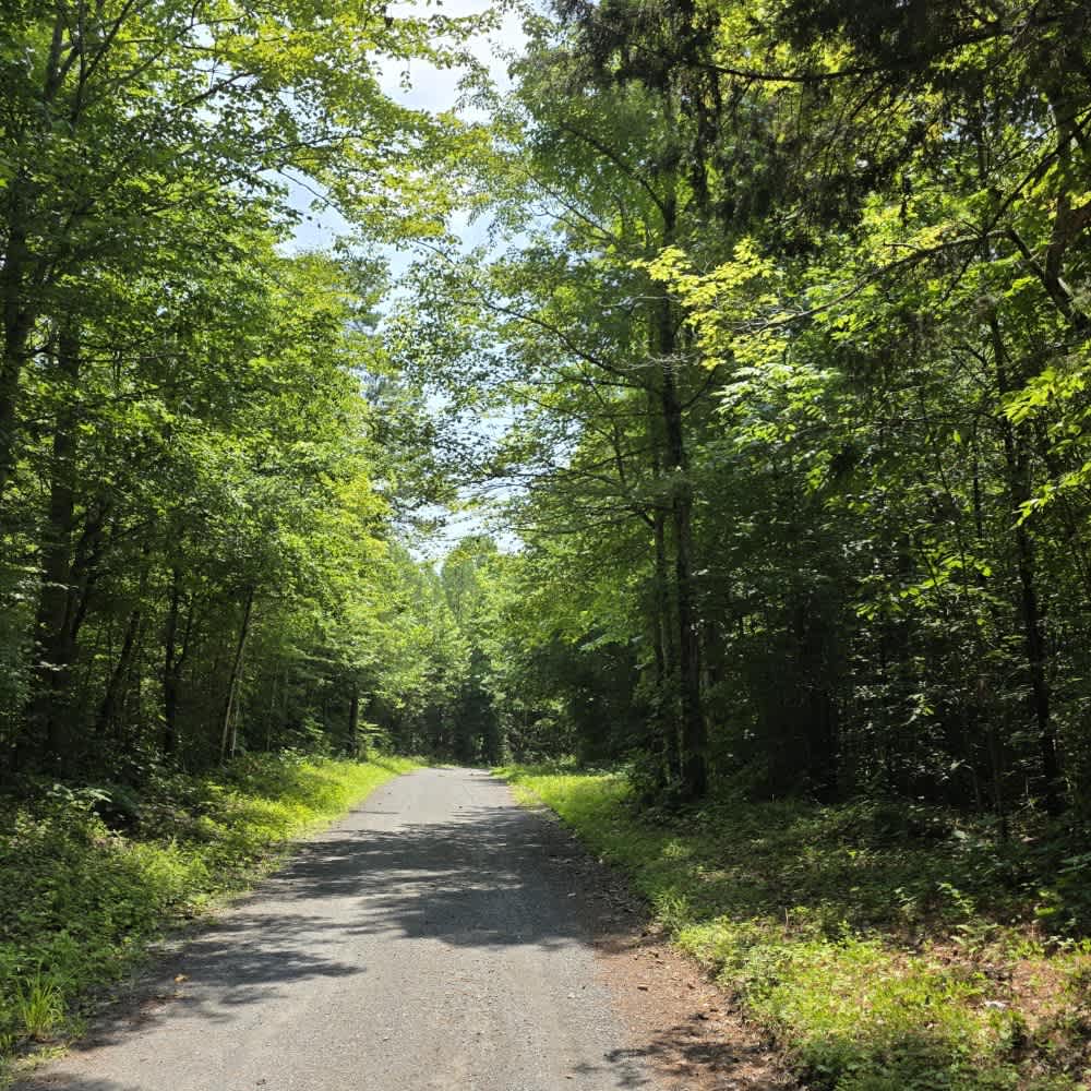 Goose Horn Road - Macon County Tour