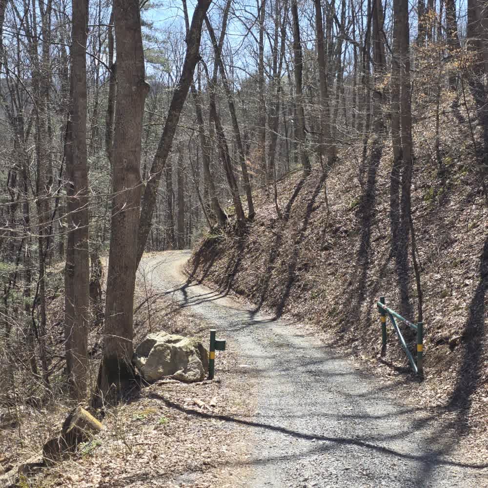 Cedar Gap