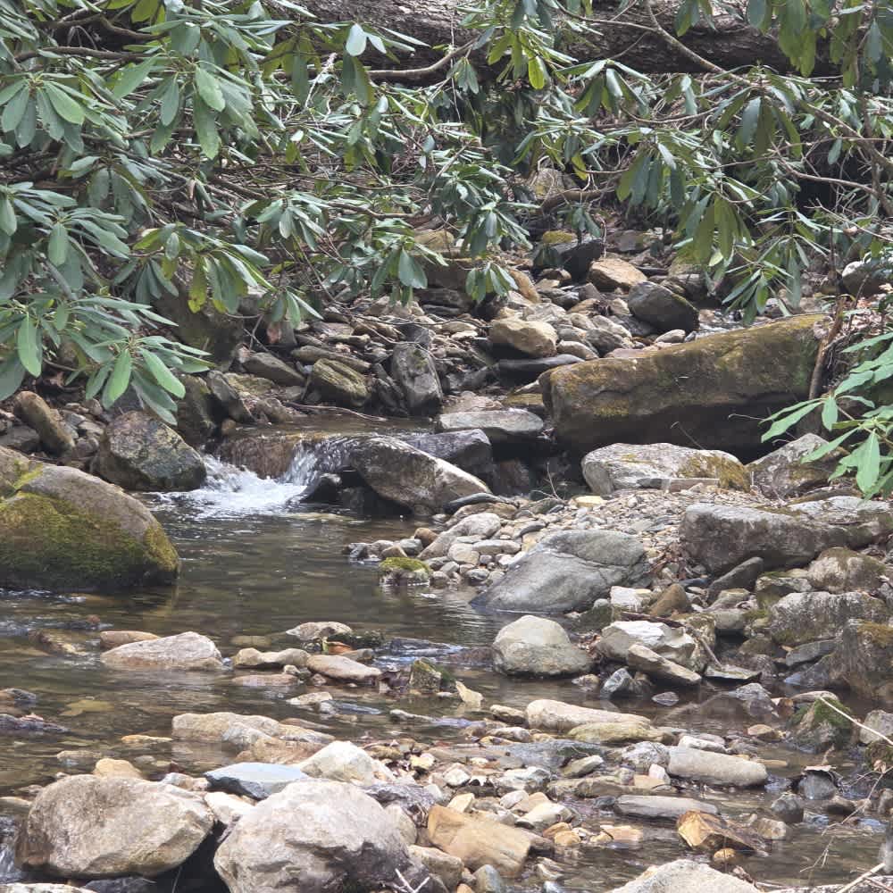 Rocky Branch Road