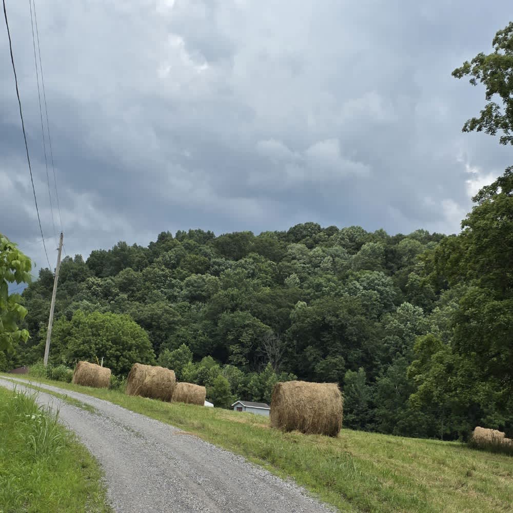 Puncheon Creek Road - Macon County Tour