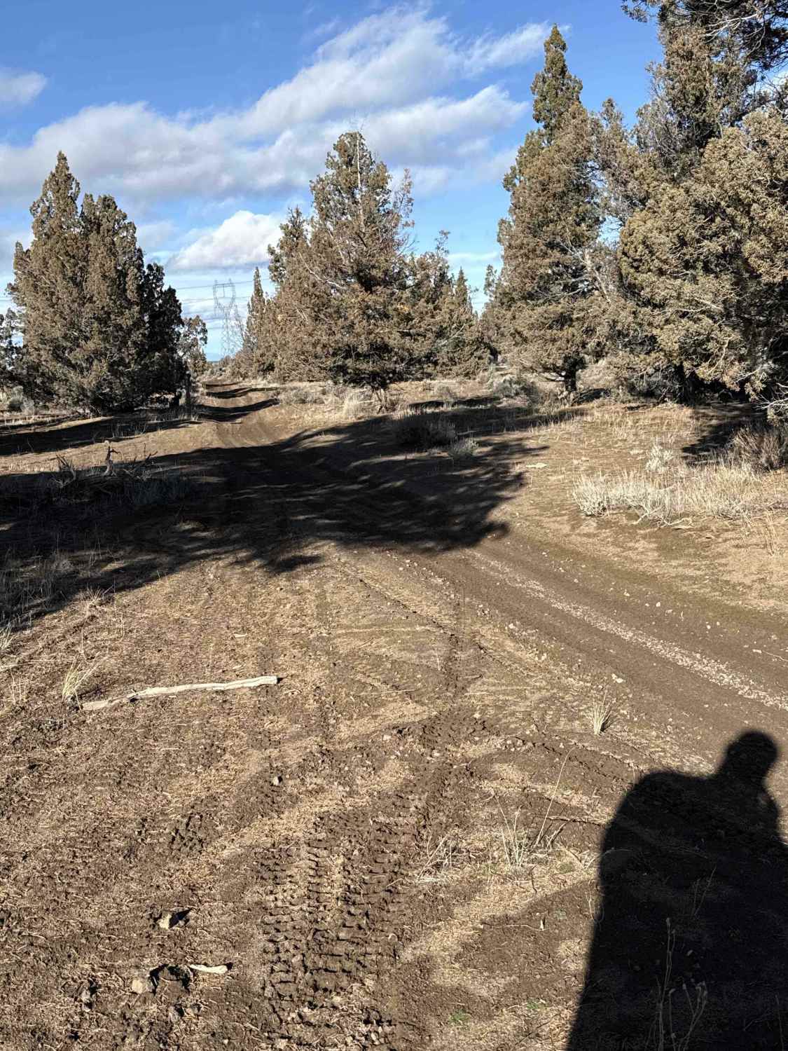 Millican Plateau OHV Trail 17