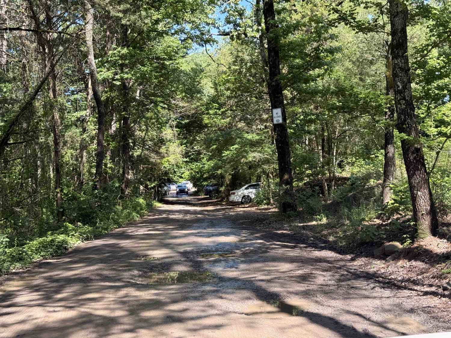 Upper Lee Creek Trail