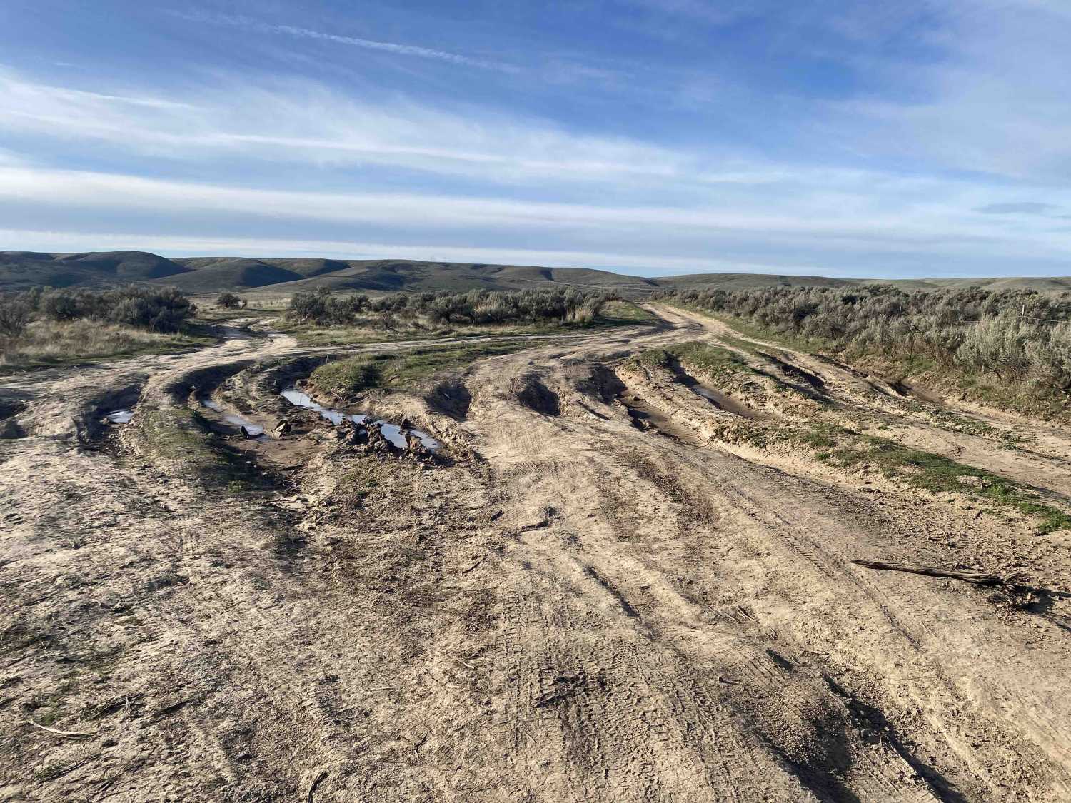 Oregon Trail