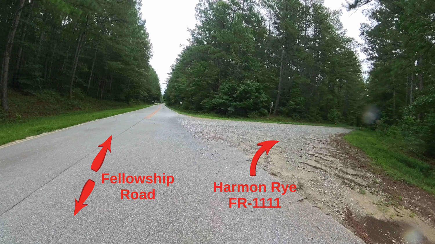 Harmon Rye - FS 1111