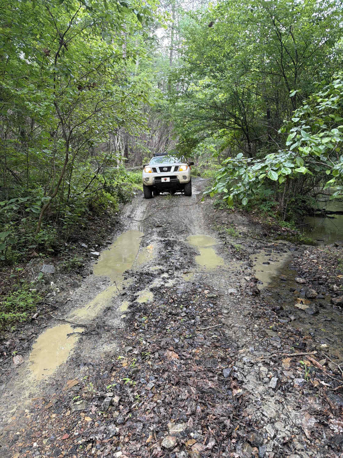 North Shore Road - FS 7492