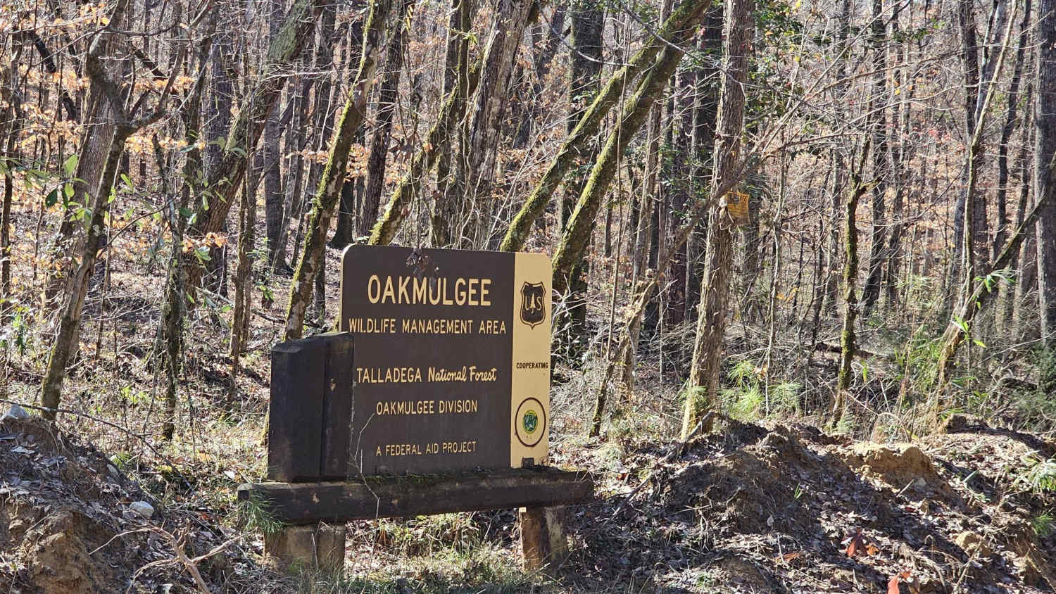 Bishop Road - FS 707