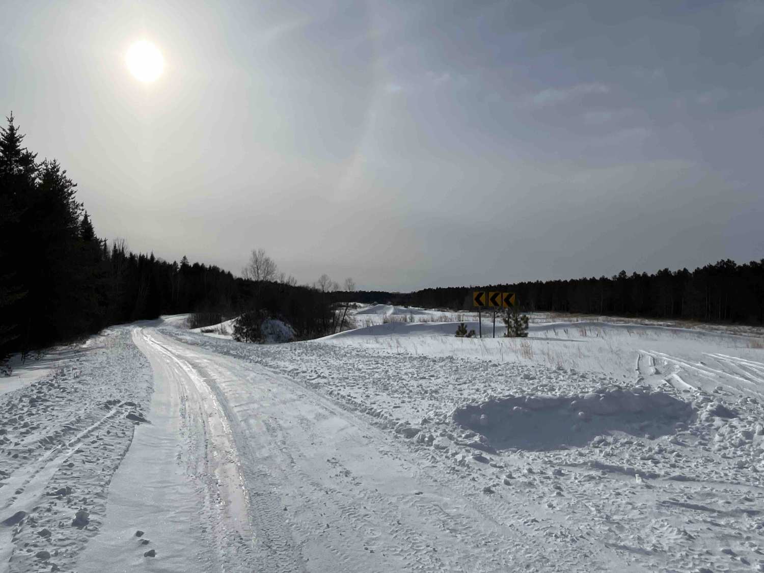 Hogsback-O'Brien Forest Road