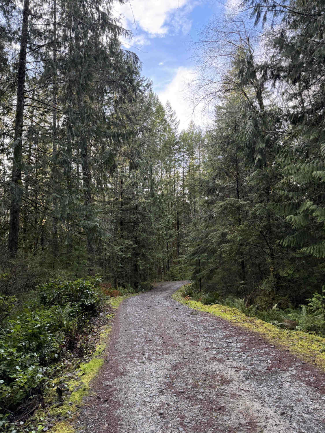 Brewster Lake Recreation Site