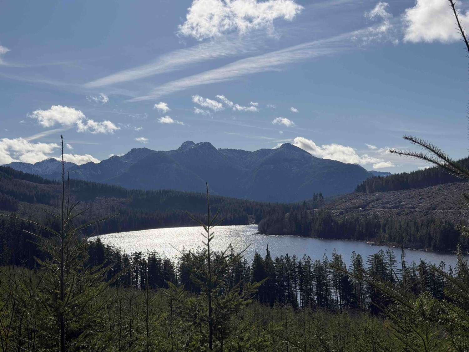 Shelton lake