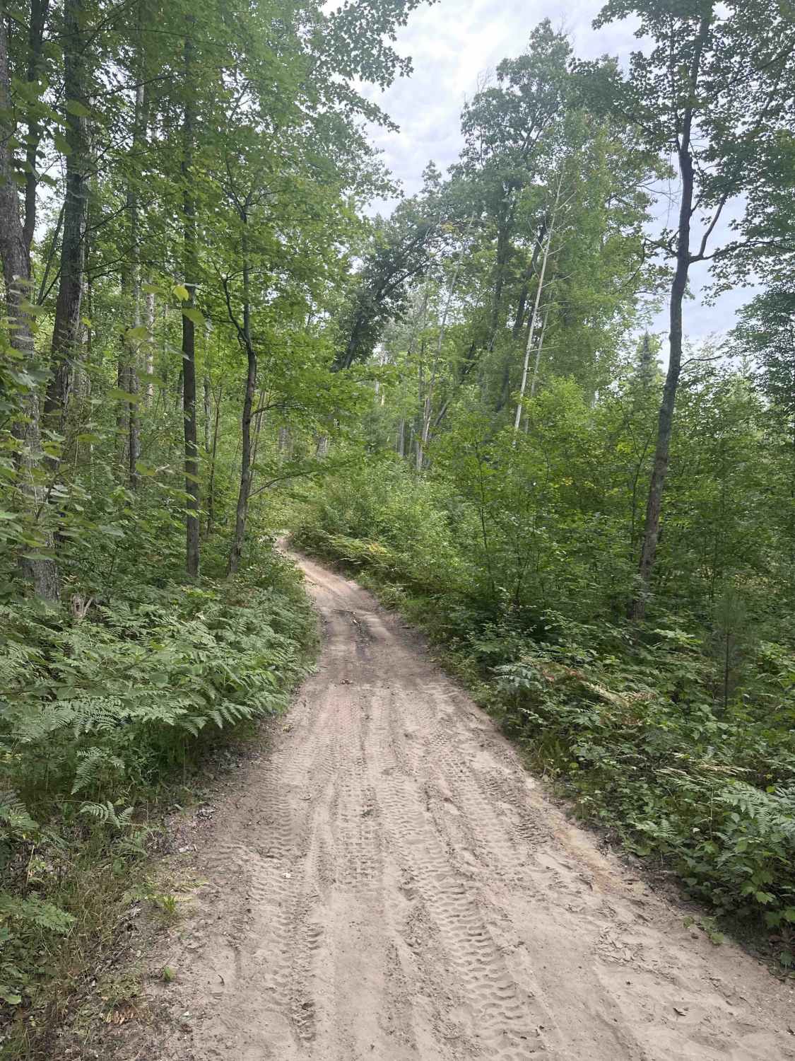 Old State House Trail