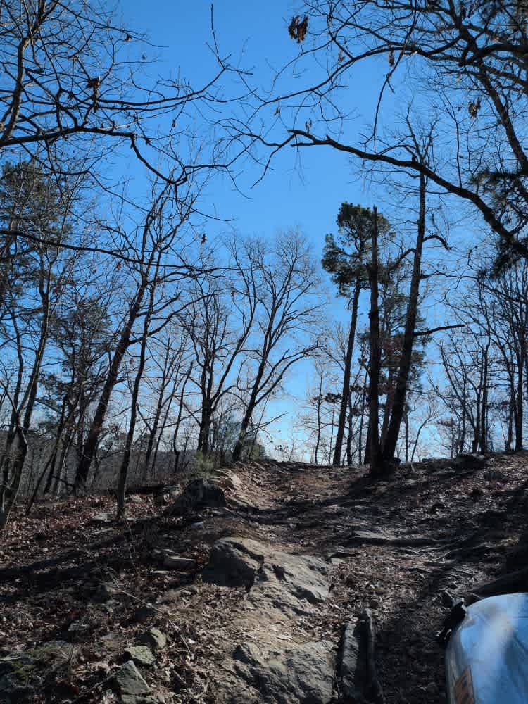 E20 Road to Prothane