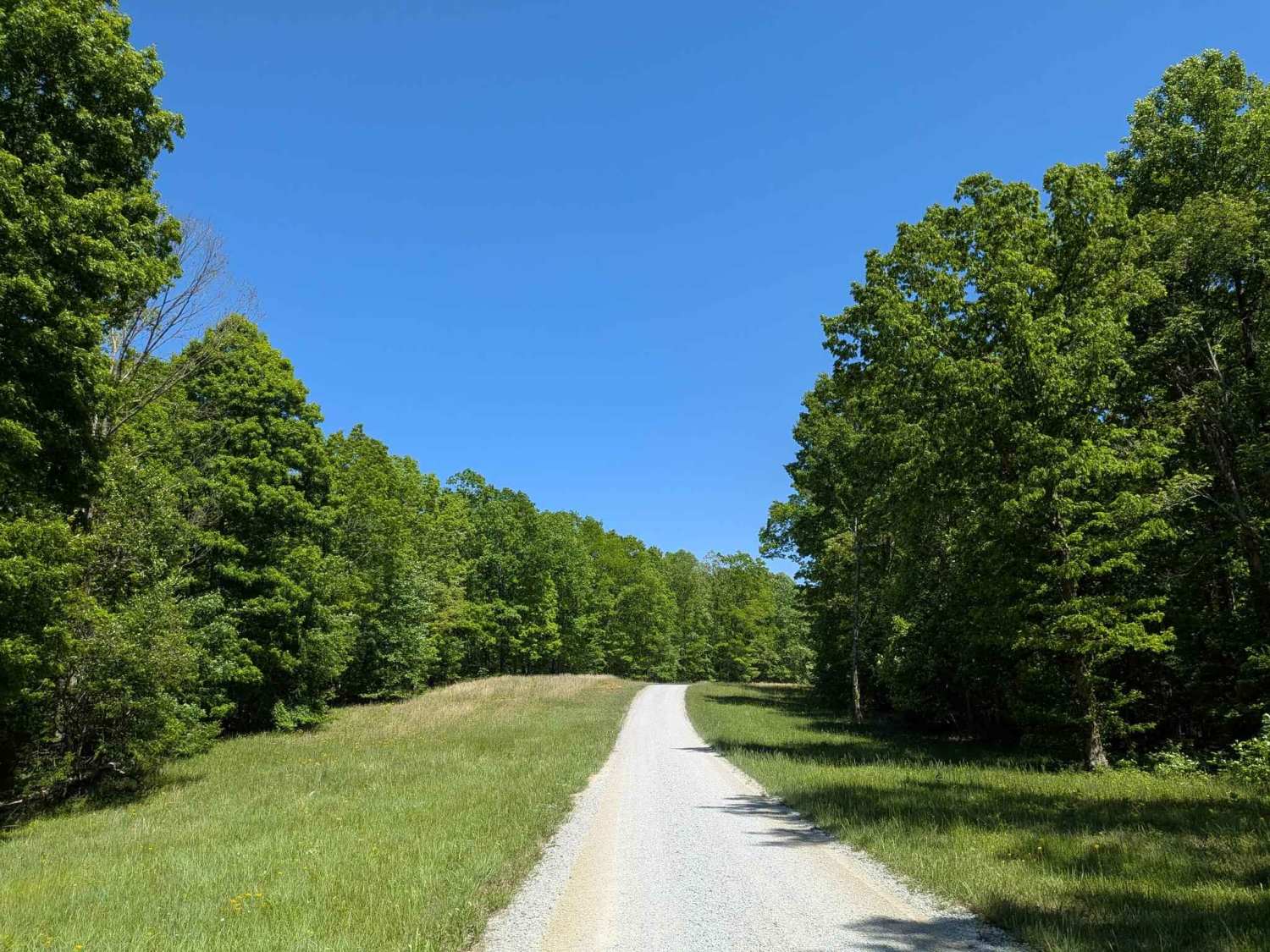 Poplar Springs Road