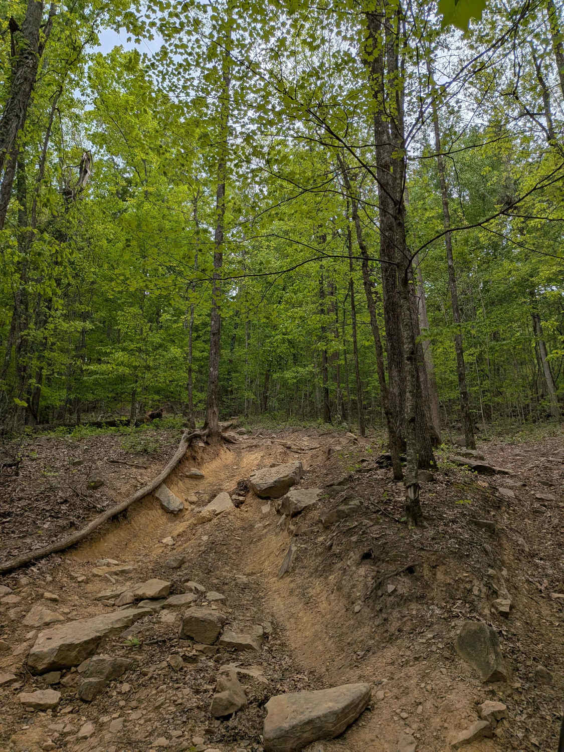 Trail 90