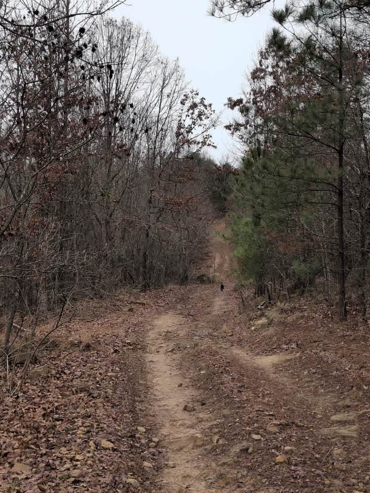 #32 Gobbler's Cutoff