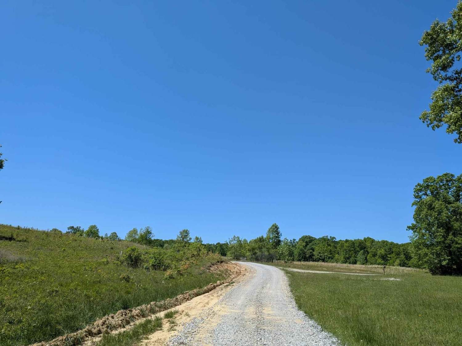 Bear Hollow Road