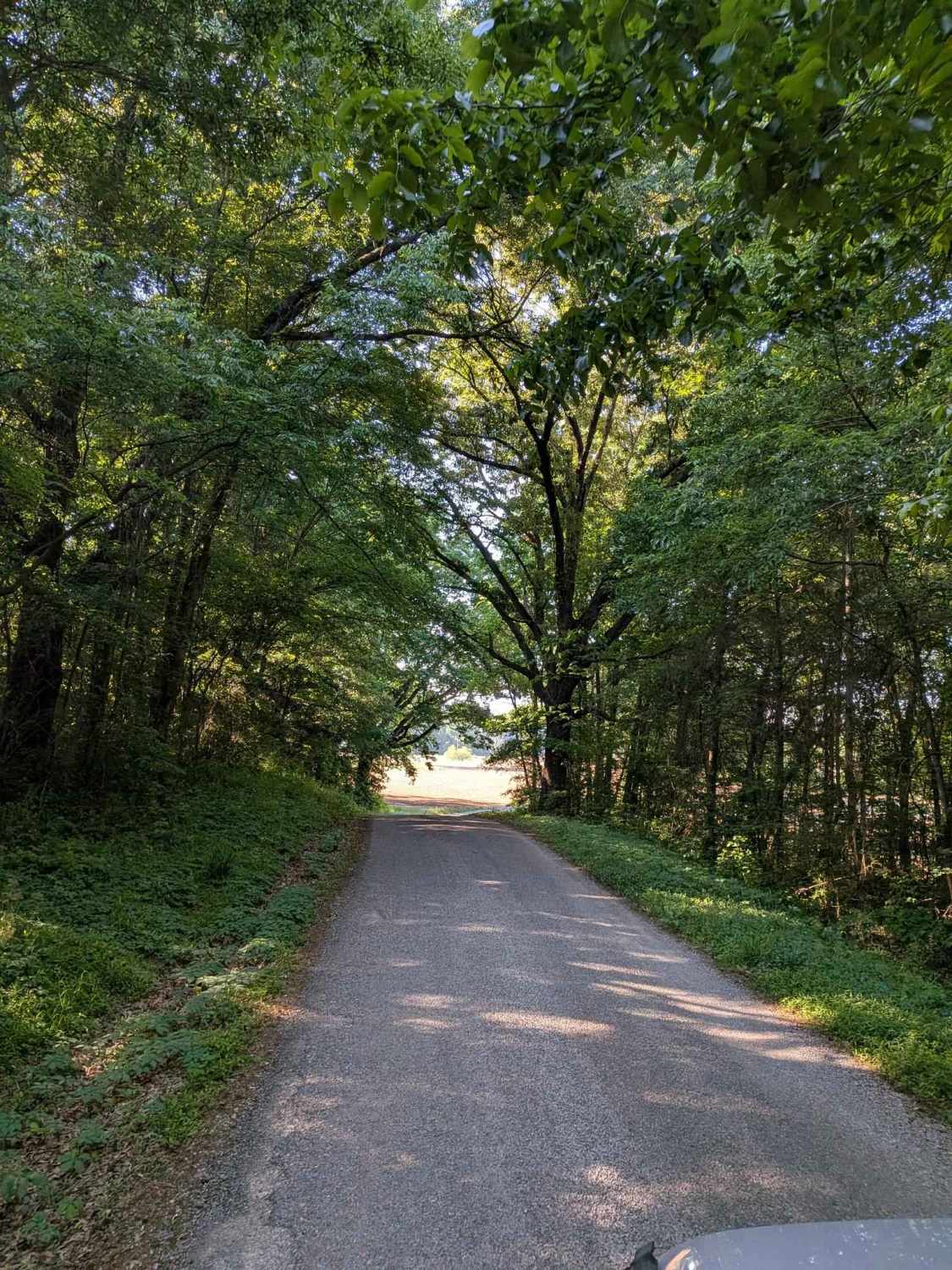 Counts Road
