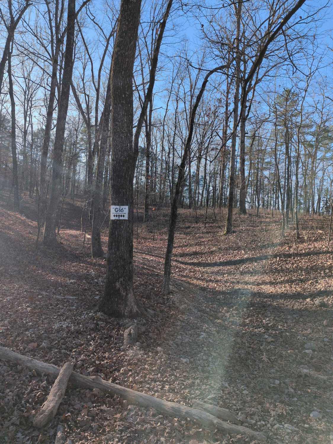 G16 One Rock at a Time